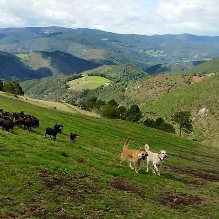 Hotel Rural Yeguada Albeitar Villayón Екстериор снимка
