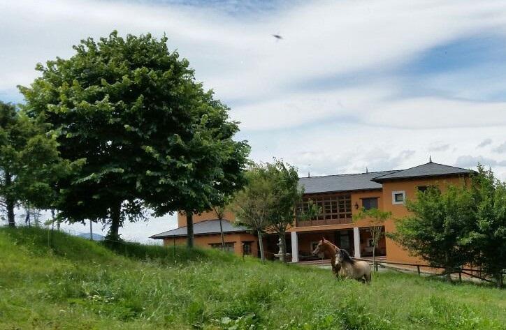 Hotel Rural Yeguada Albeitar Villayón Екстериор снимка