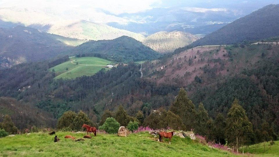 Hotel Rural Yeguada Albeitar Villayón Екстериор снимка
